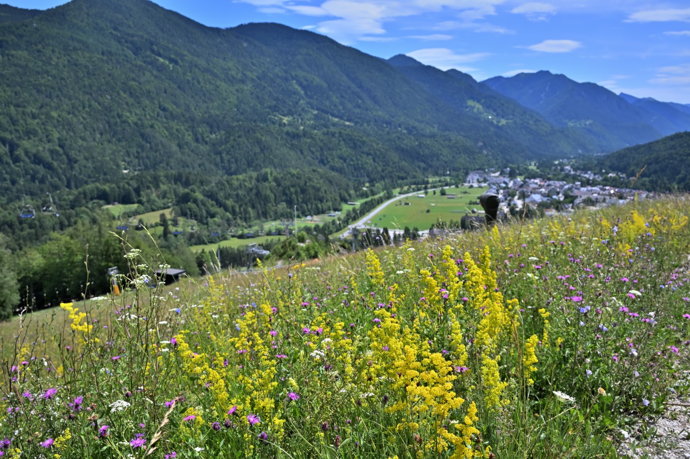 DSC_0265_00039.jpg