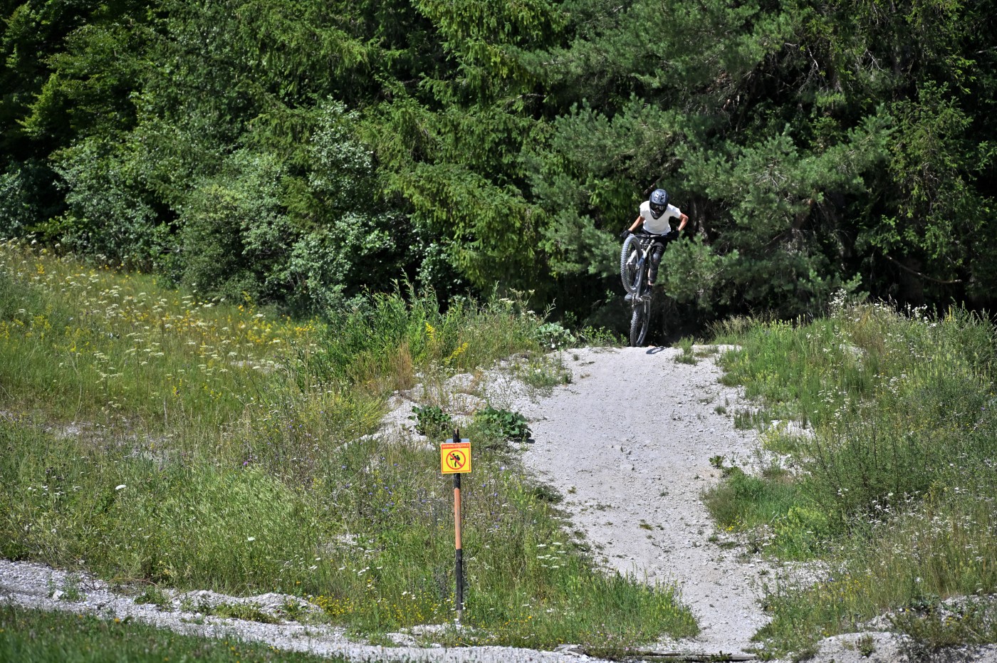 DSC_0274_00046.jpg
