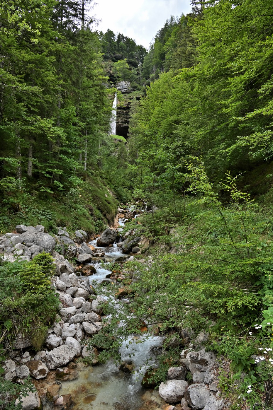 DSC_0297_00069.jpg