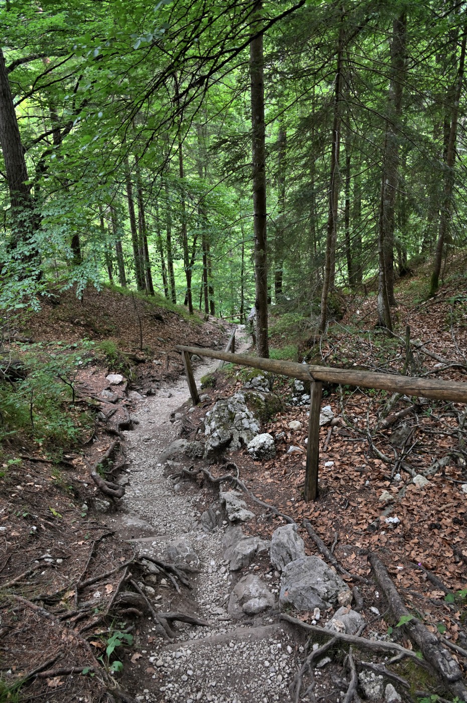 DSC_0302_00074.jpg