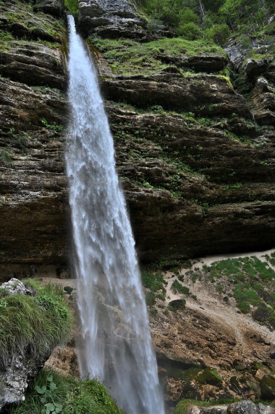 DSC_0307_00079.jpg