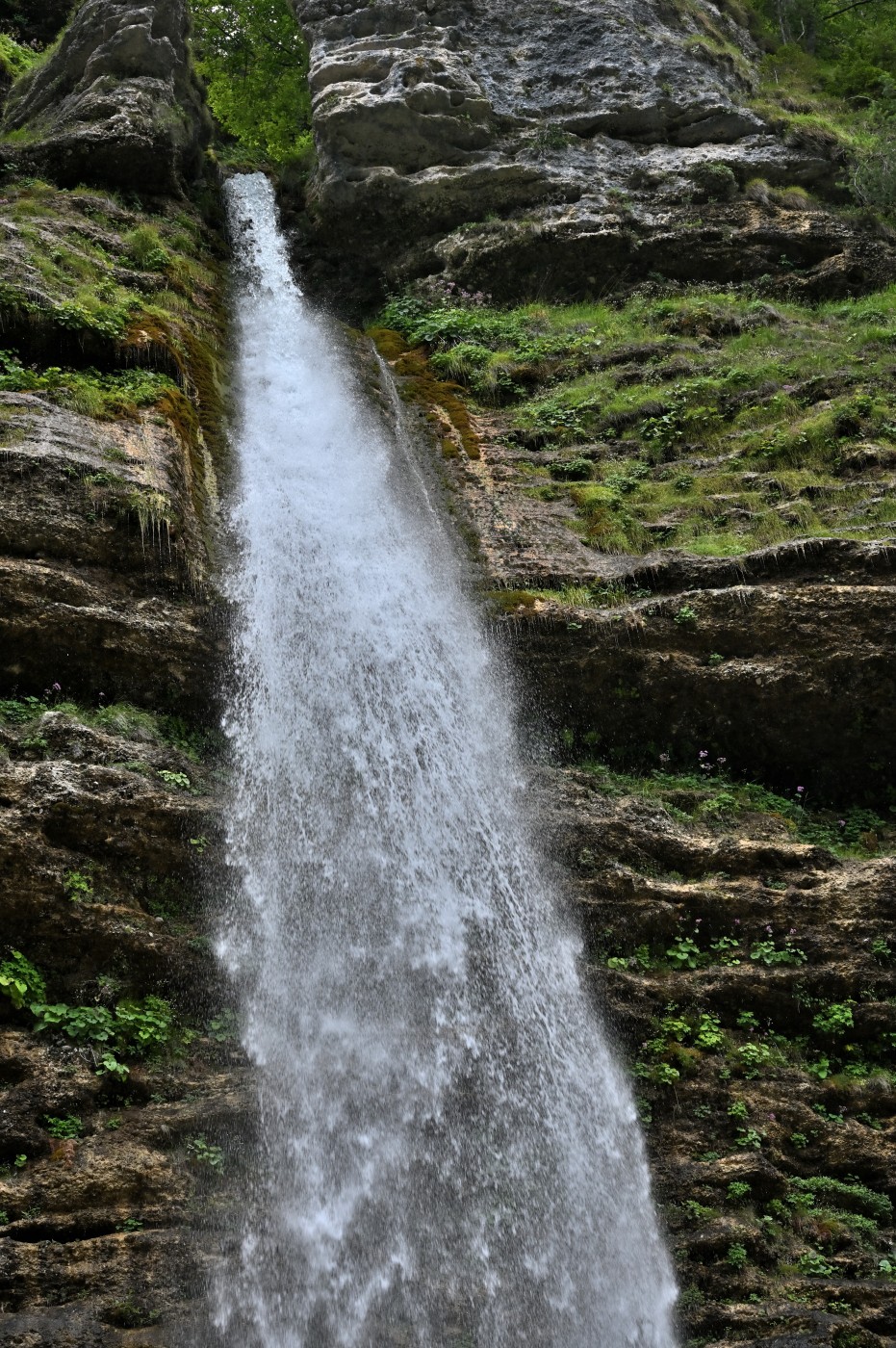 DSC_0308_00080.jpg