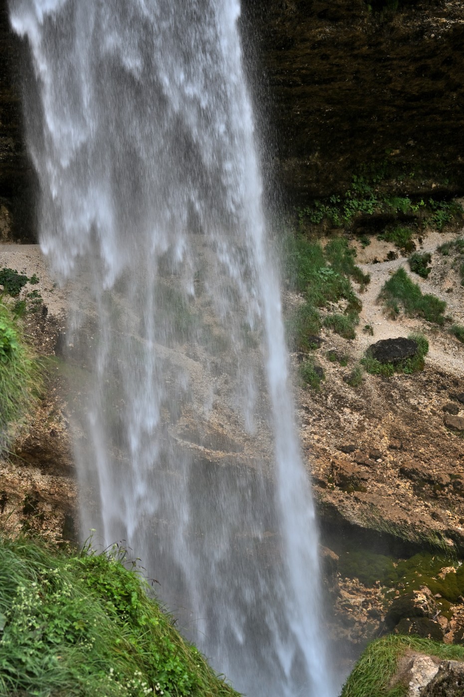 DSC_0309_00081.jpg