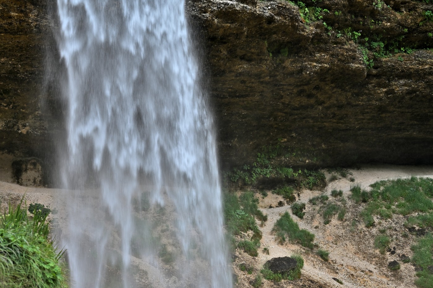 DSC_0310_00082.jpg