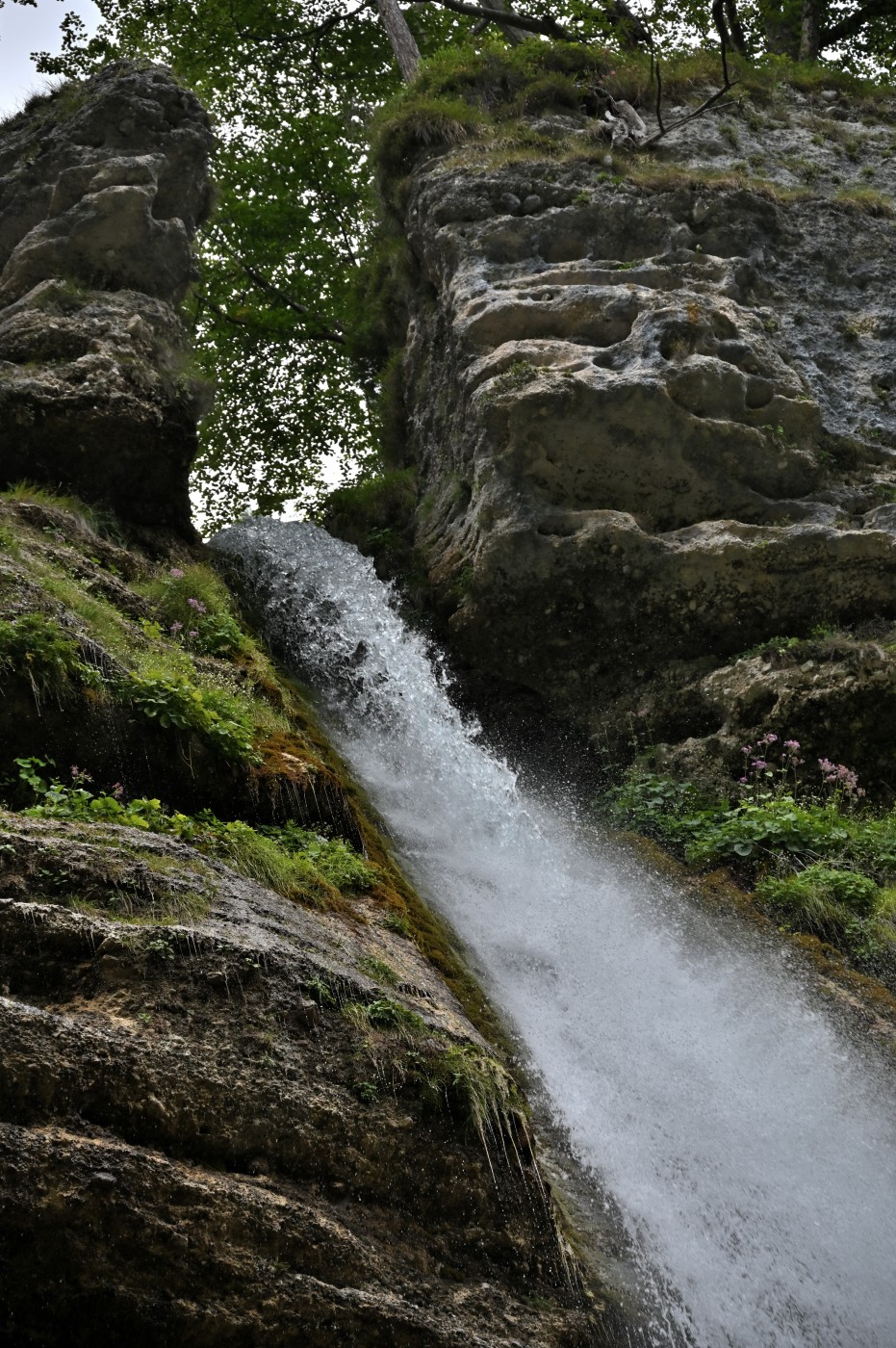 DSC_0312_00084.jpg