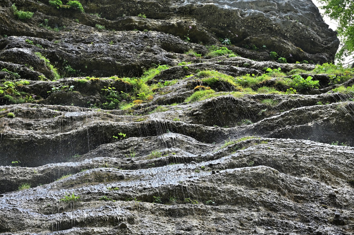 DSC_0314_00086.jpg