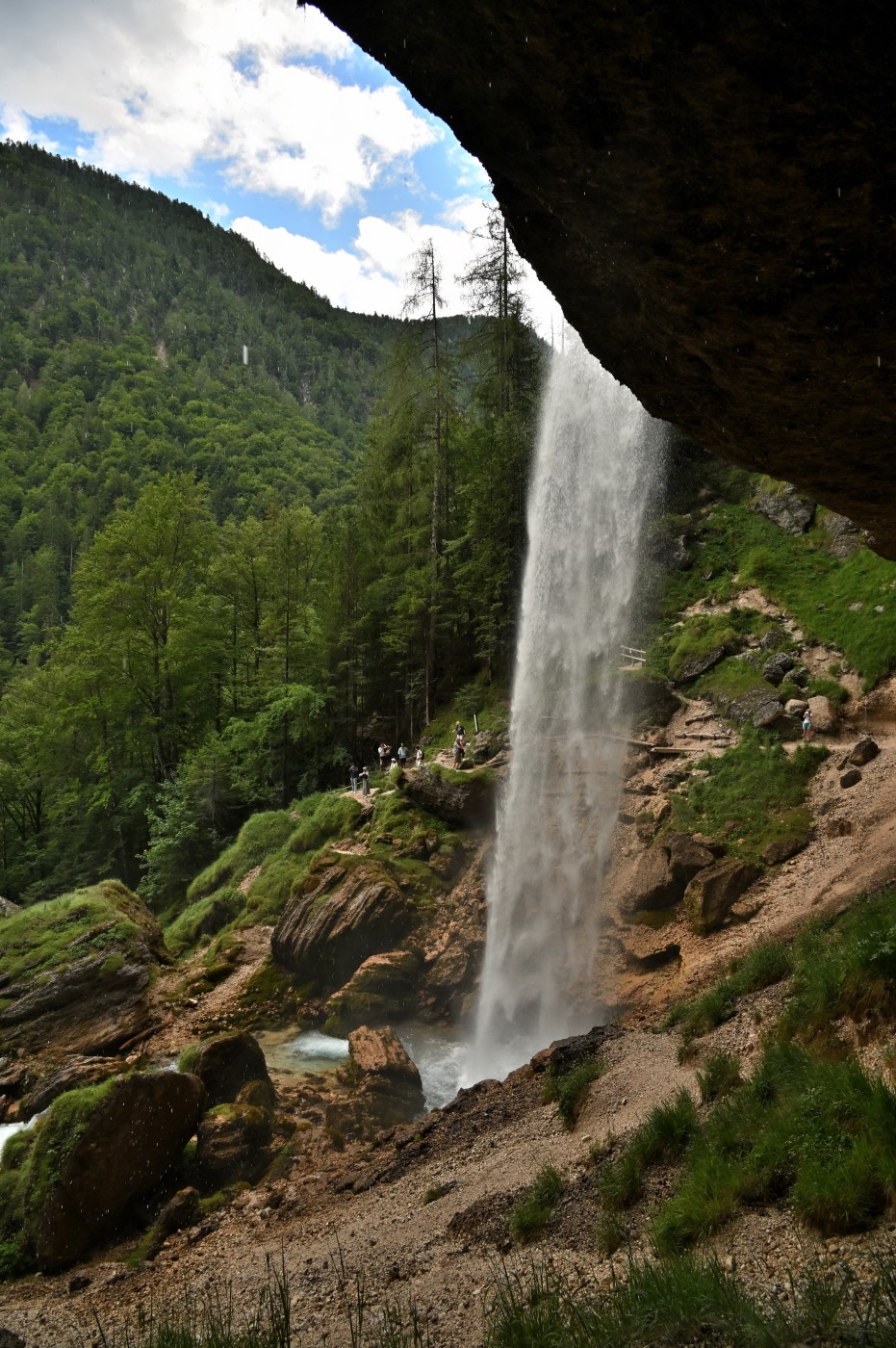 DSC_0320_00091.jpg
