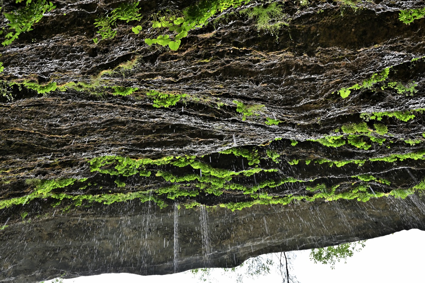 DSC_0323_00094.jpg