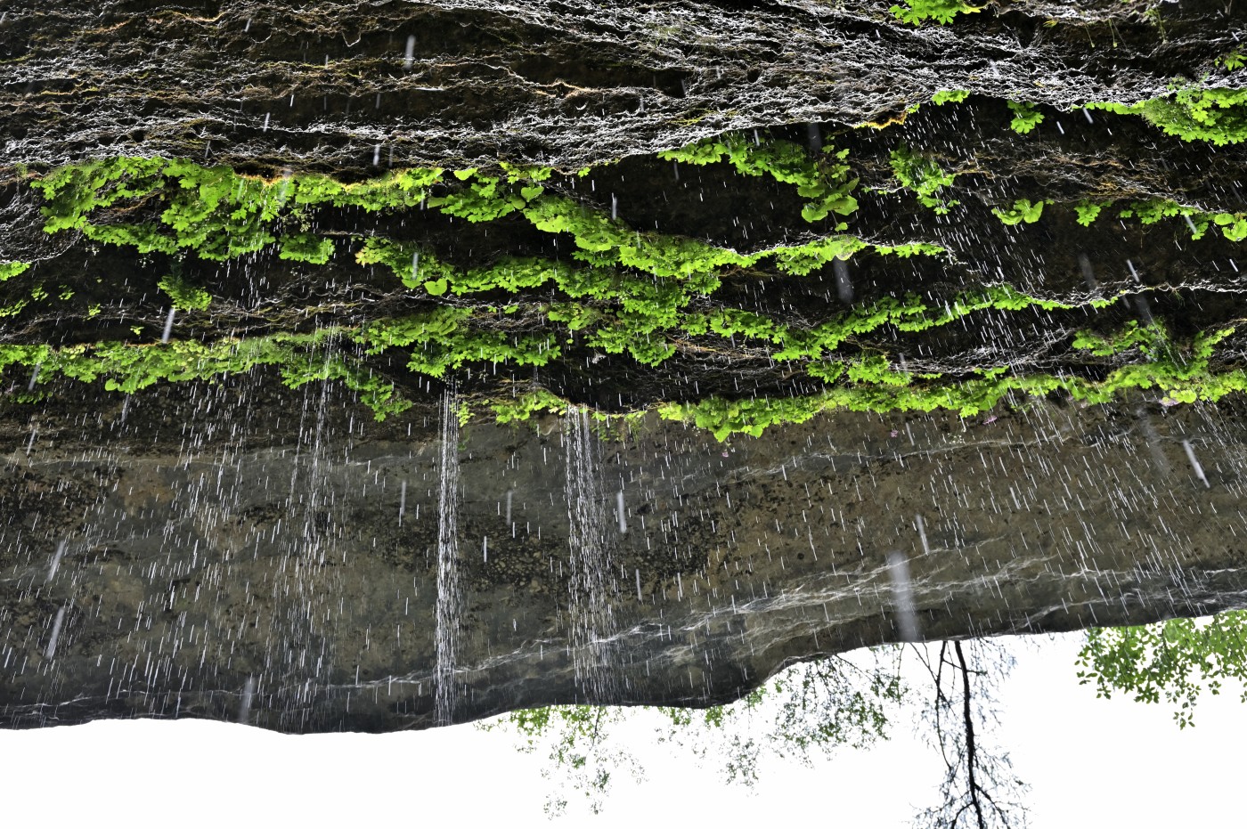 DSC_0325_00096.jpg