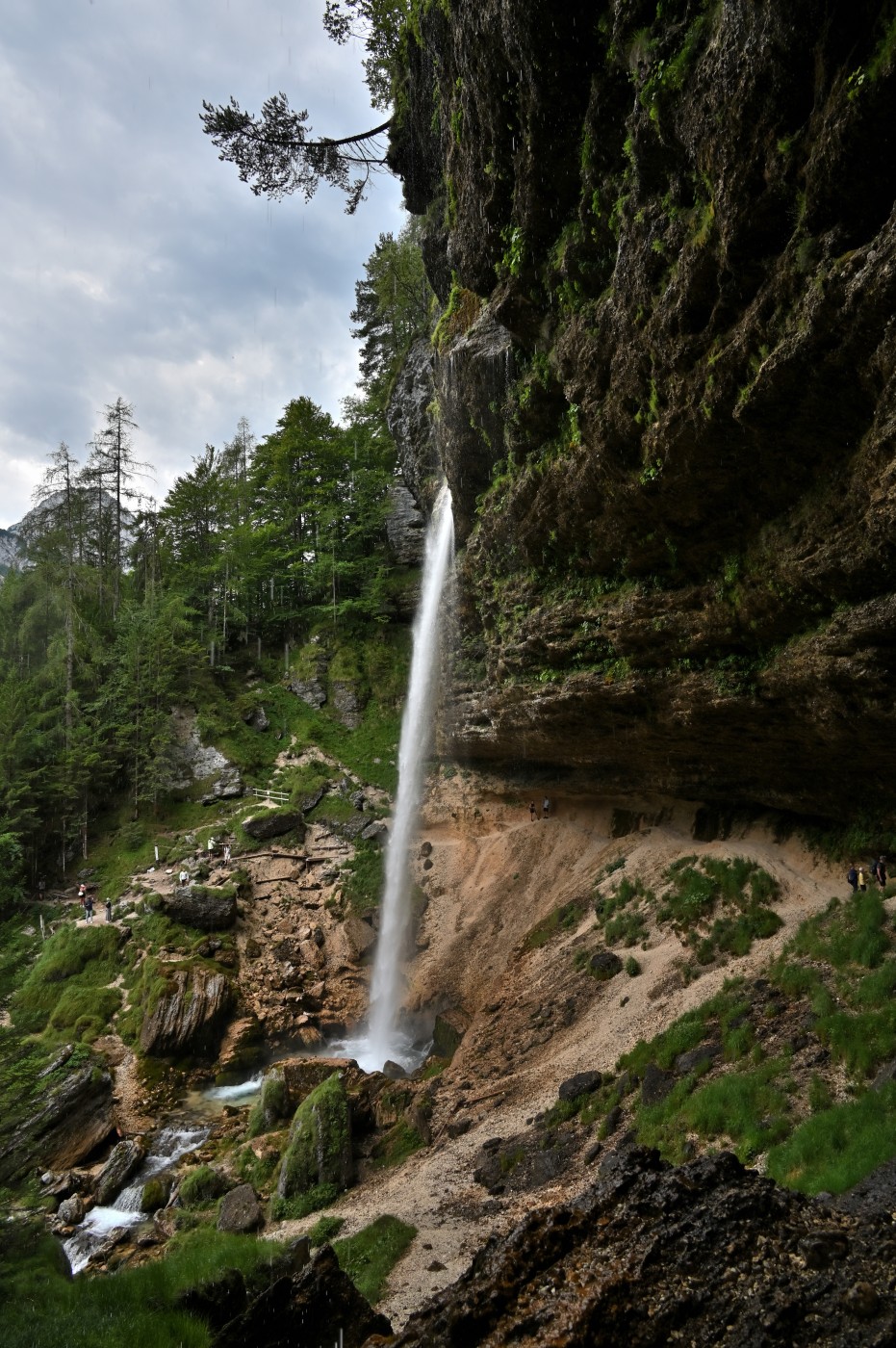 DSC_0328_00099.jpg