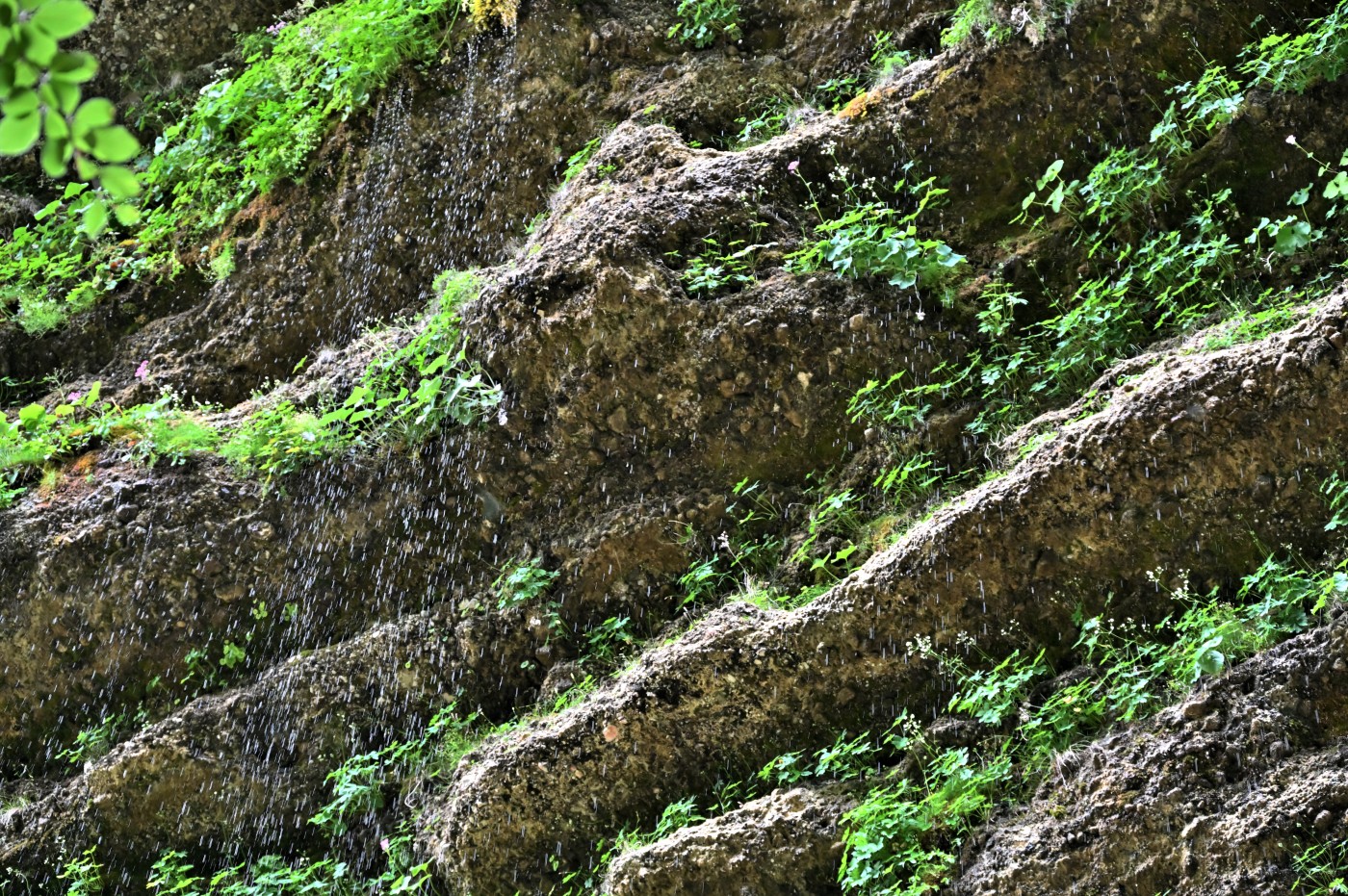 DSC_0334_00103.jpg