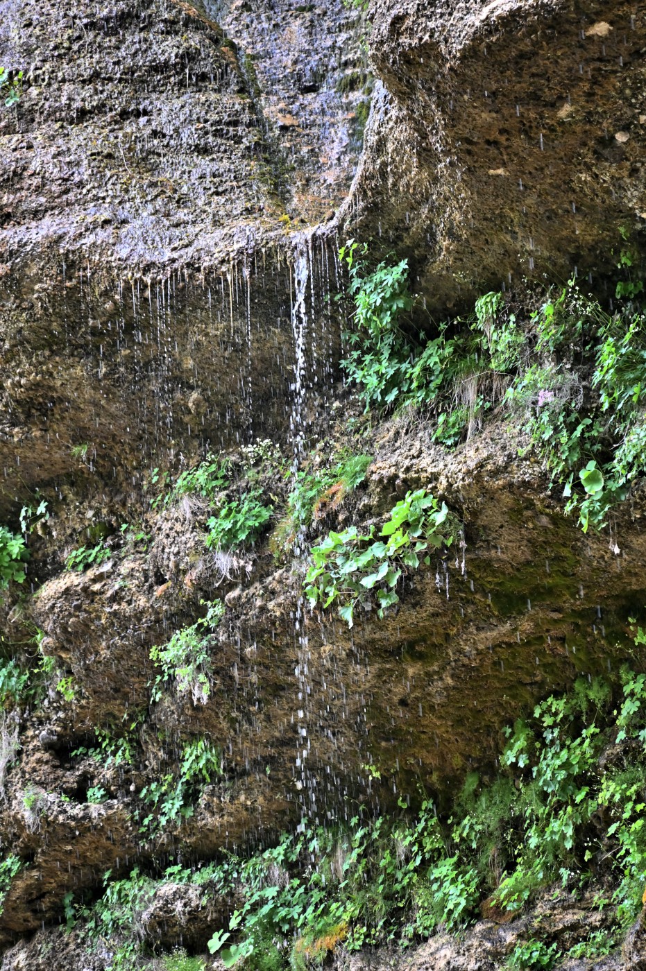 DSC_0336_00105.jpg