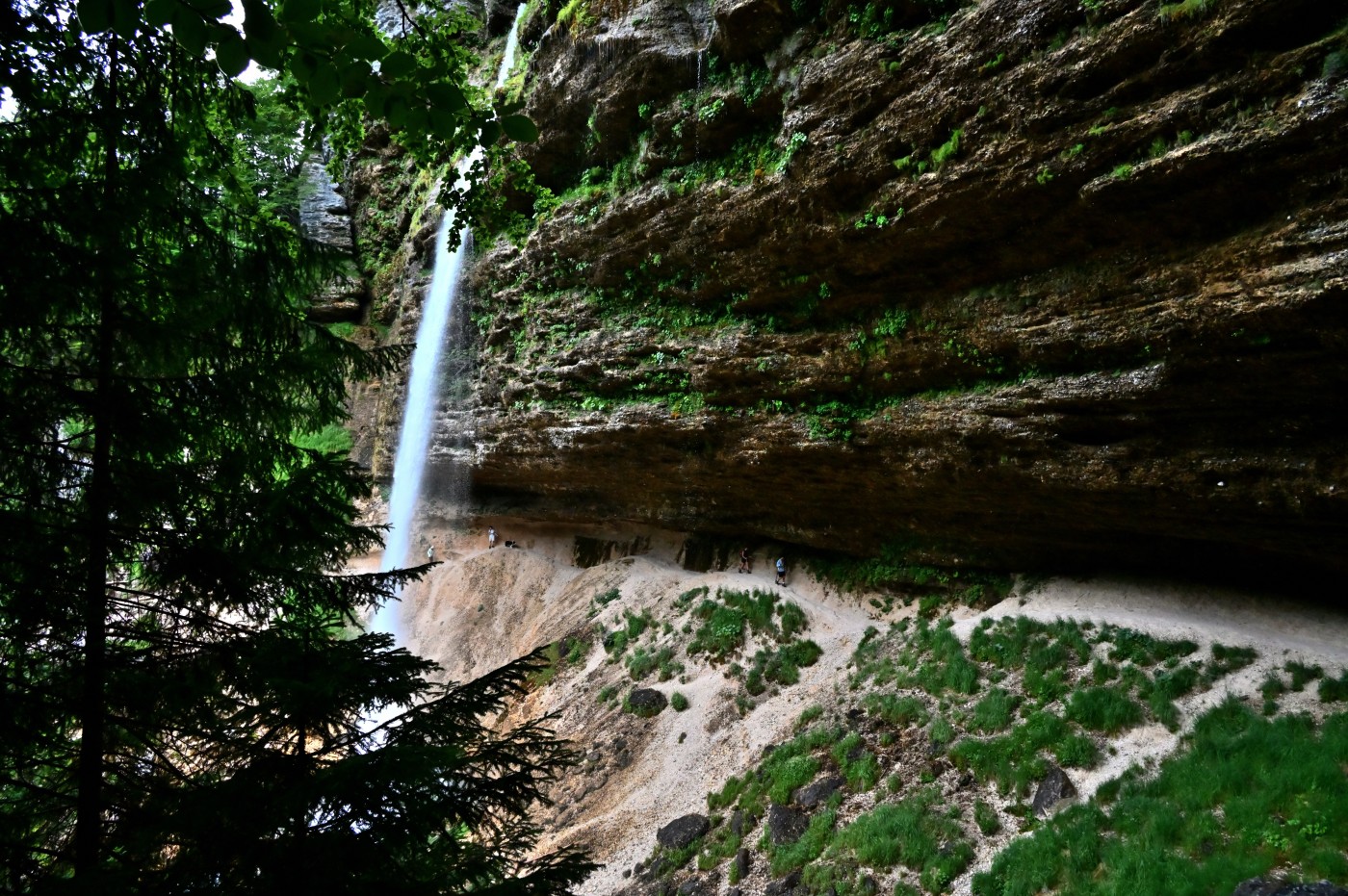 DSC_0337_00106.jpg