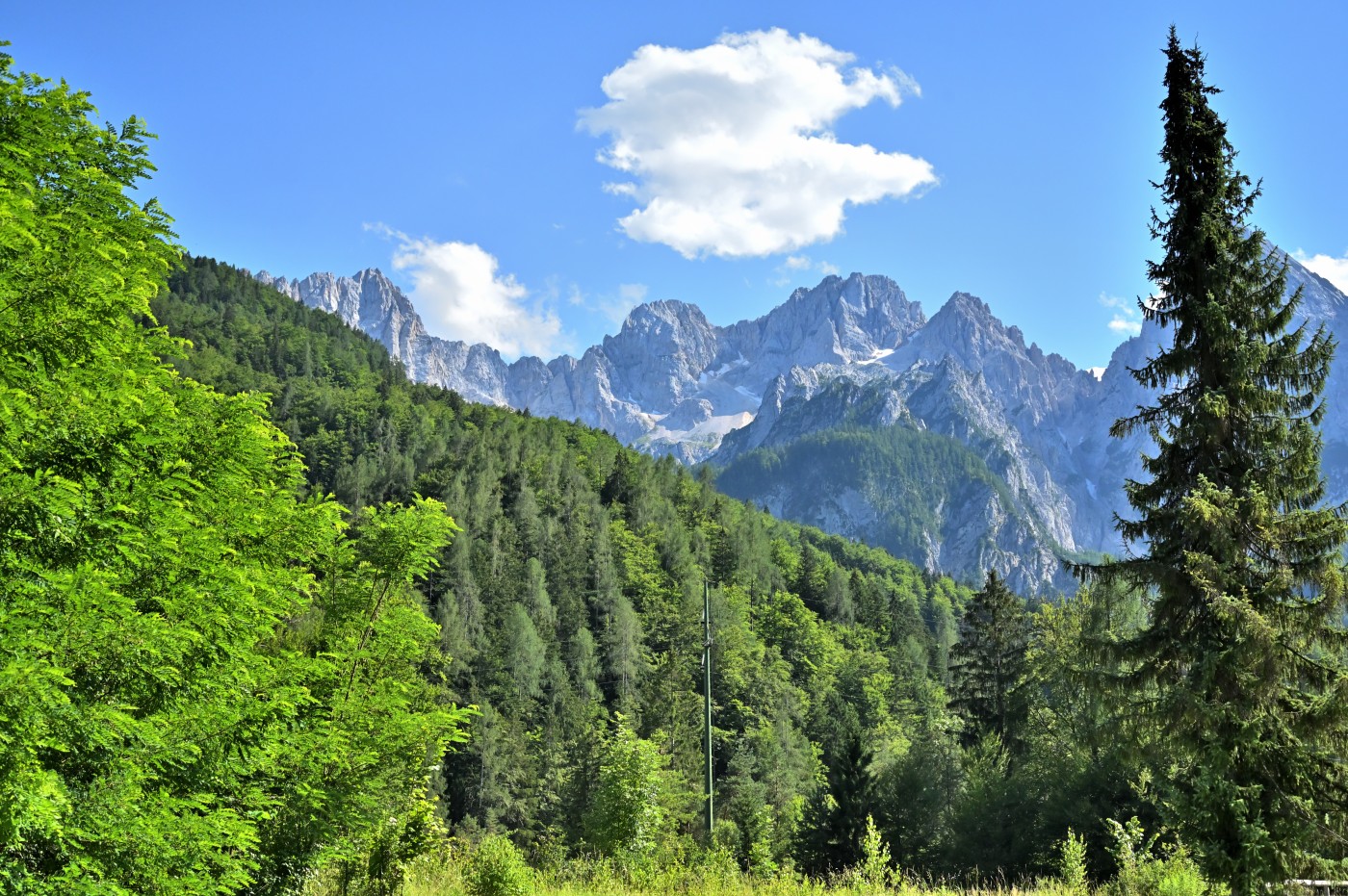 DSC_0339_00108.jpg