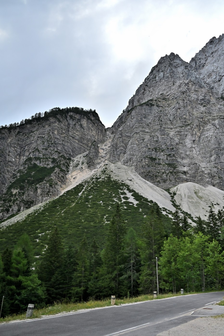 DSC_0341_00110.jpg