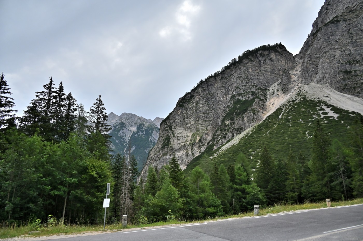 DSC_0342_00111.jpg