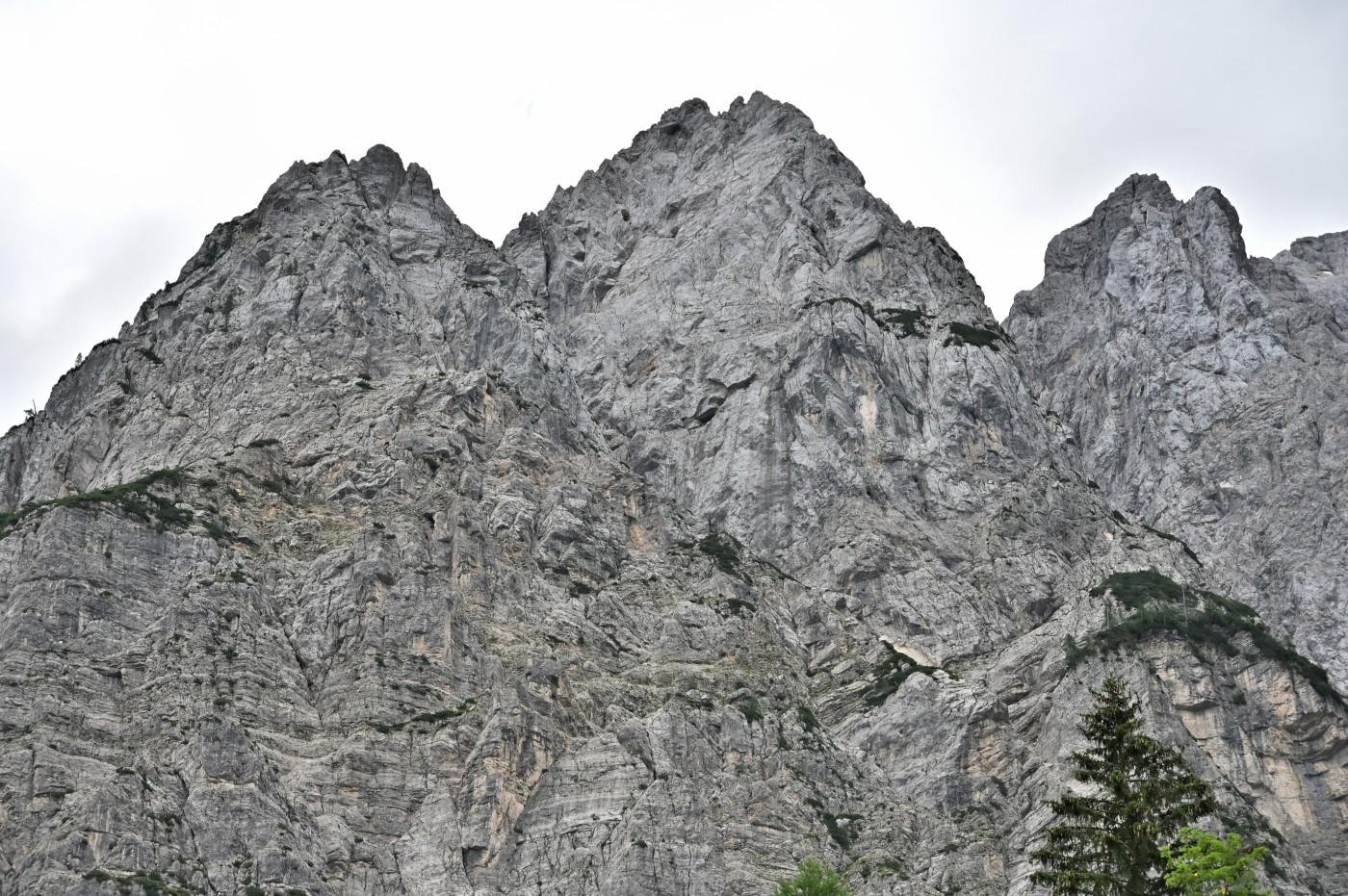 DSC_0343_00112.jpg