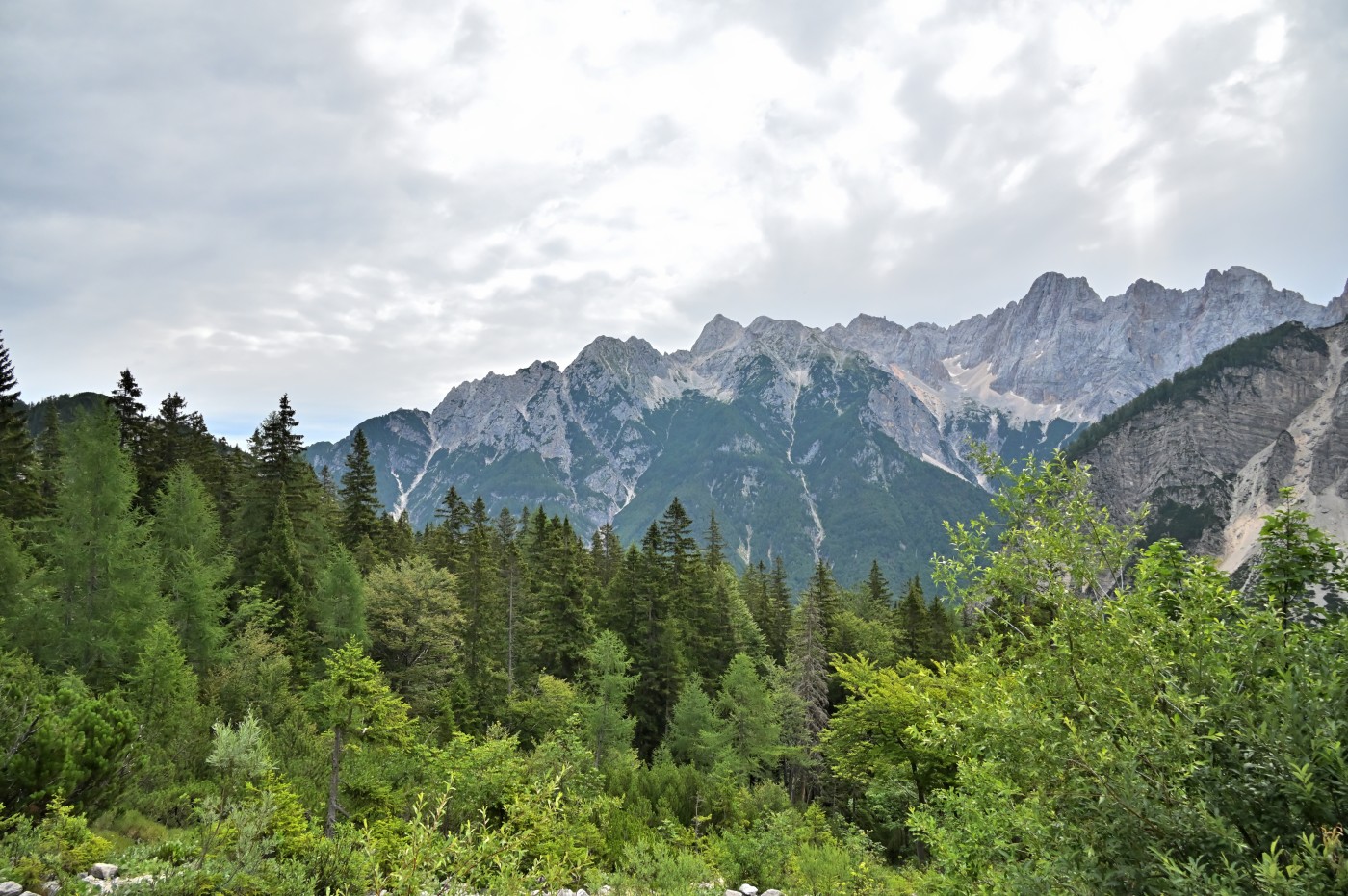 DSC_0345_00114.jpg