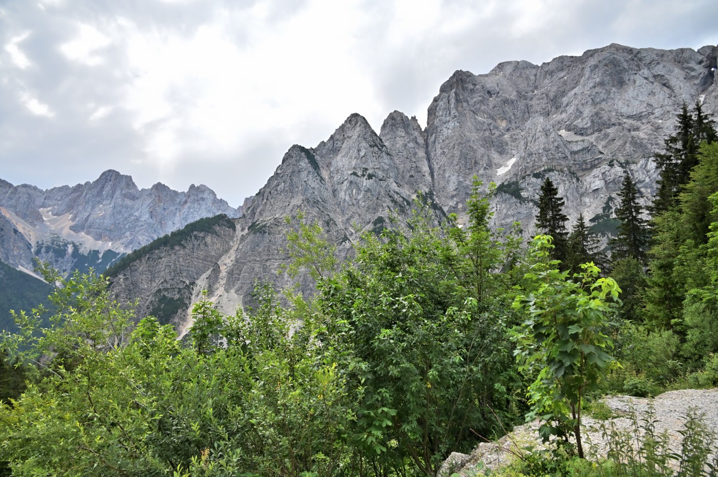 DSC_0346_00115.jpg