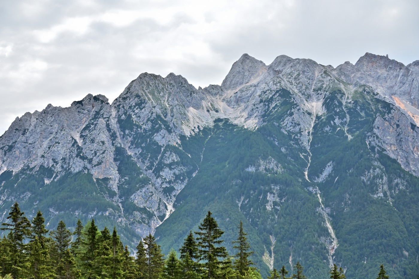 DSC_0347_00116.jpg