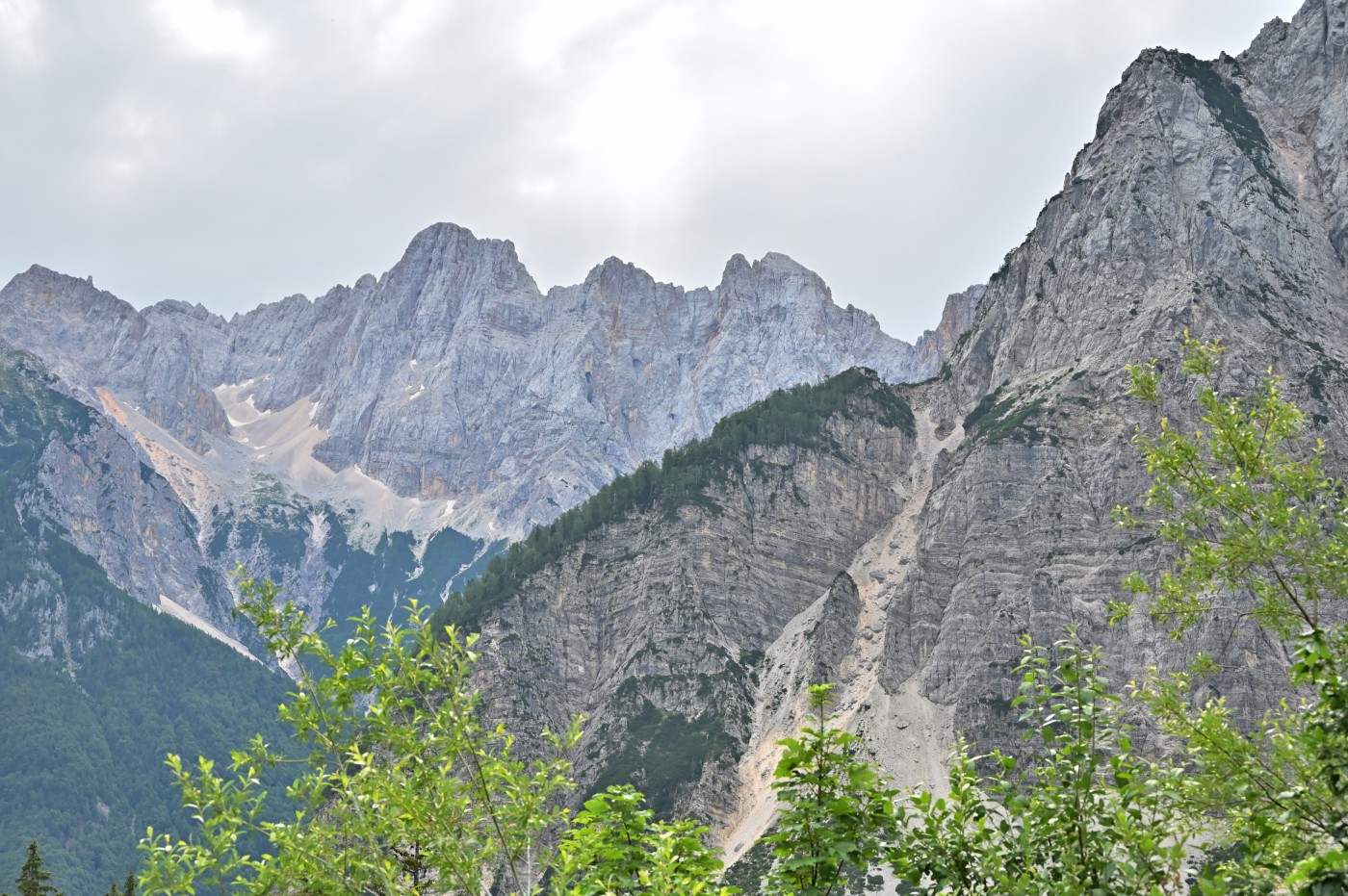 DSC_0348_00117.jpg