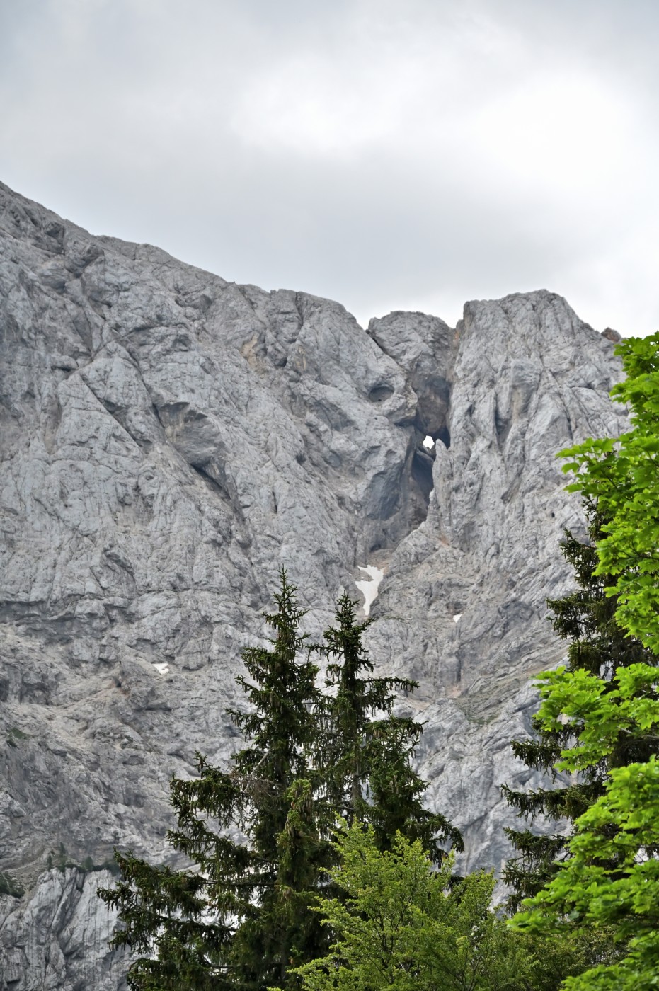 DSC_0351_00120.jpg