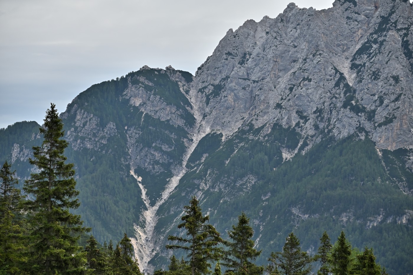 DSC_0355_00123.jpg
