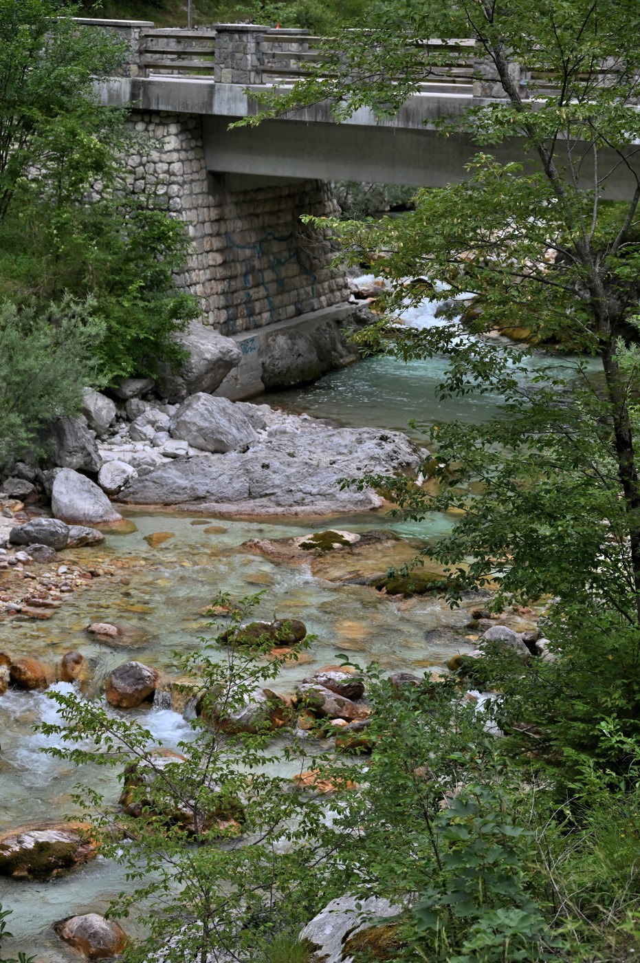 DSC_0357_00125.jpg