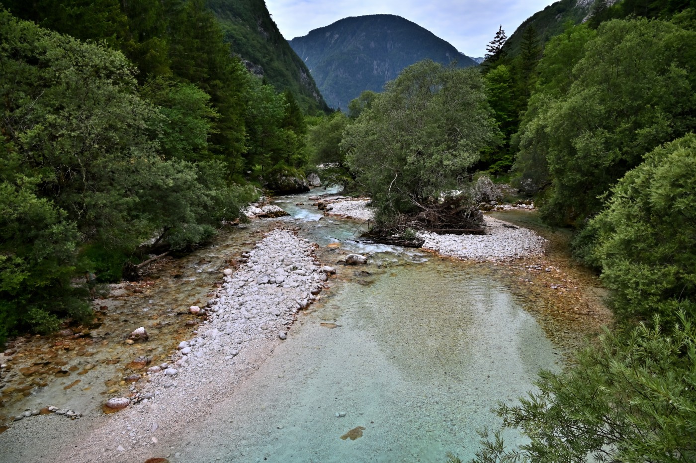 DSC_0363_00131.jpg