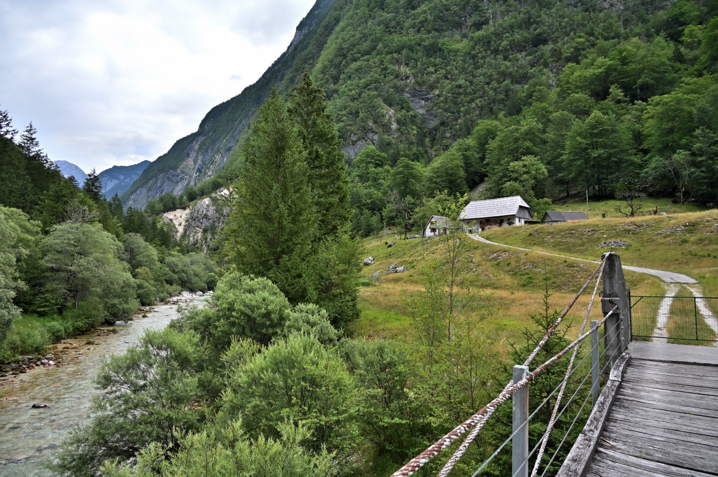 DSC_0365_00133.jpg