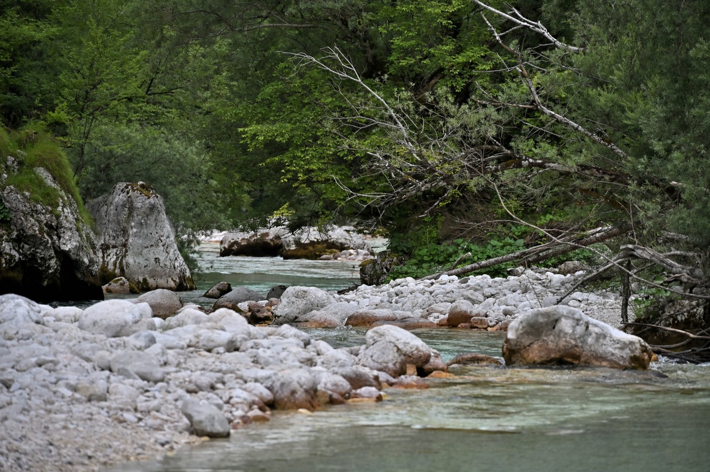 DSC_0368_00136.jpg