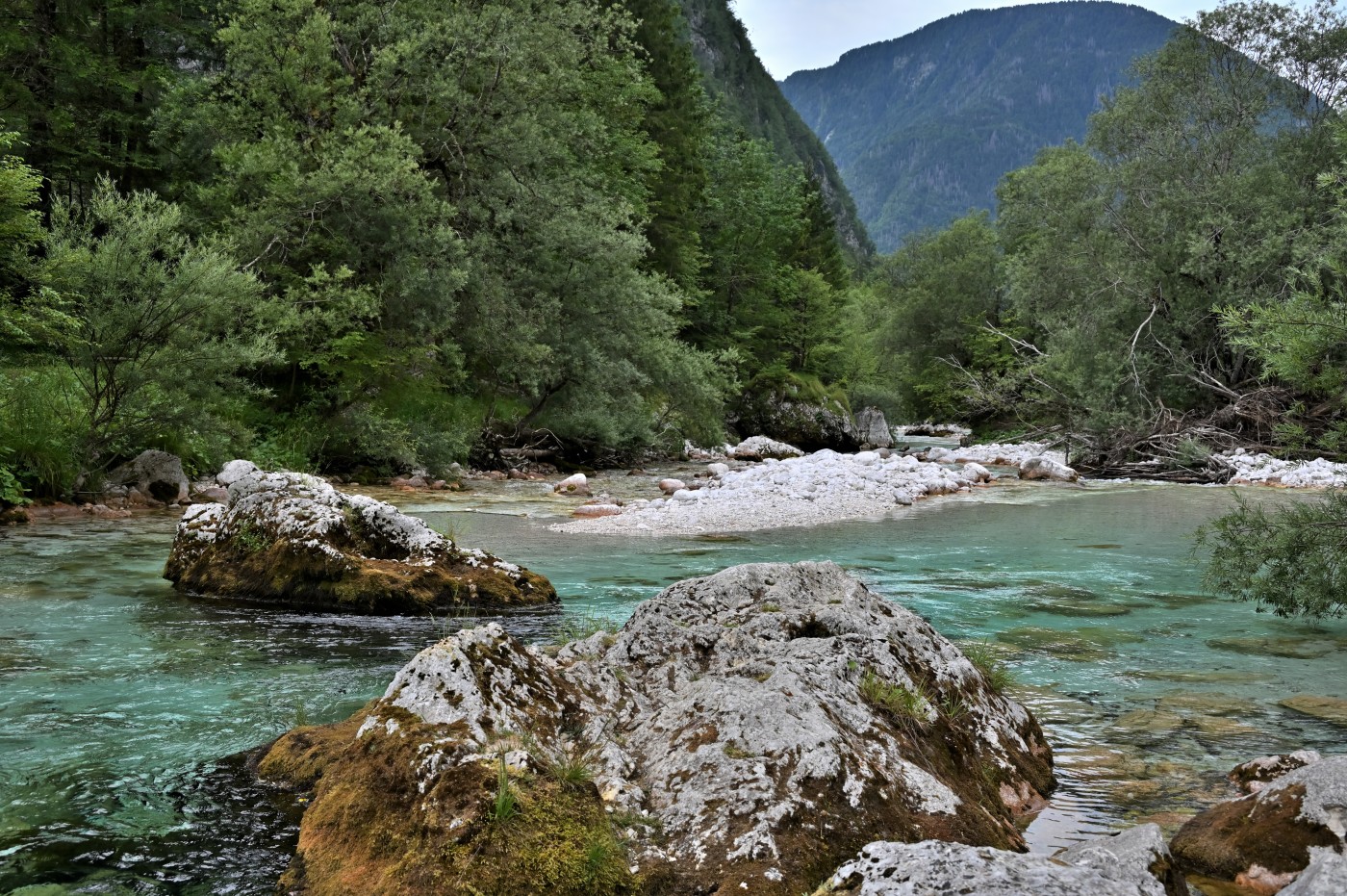 DSC_0369_00137.jpg