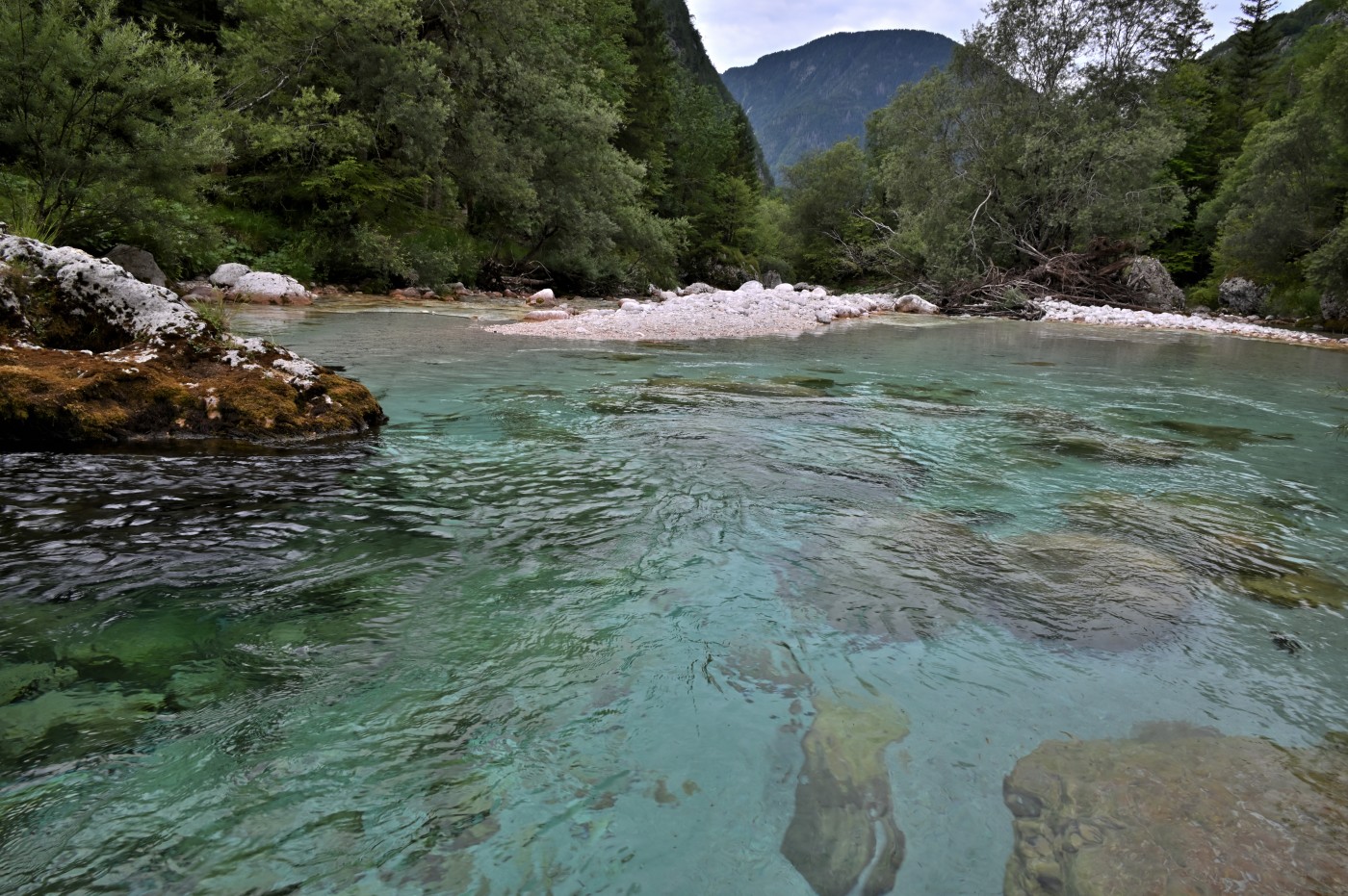 DSC_0370_00138.jpg