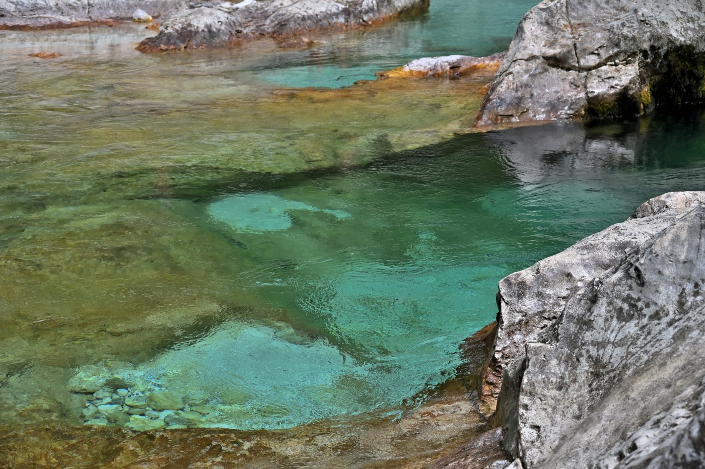 DSC_0378_00146.jpg