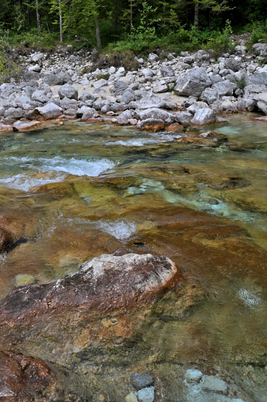 DSC_0379_00147.jpg
