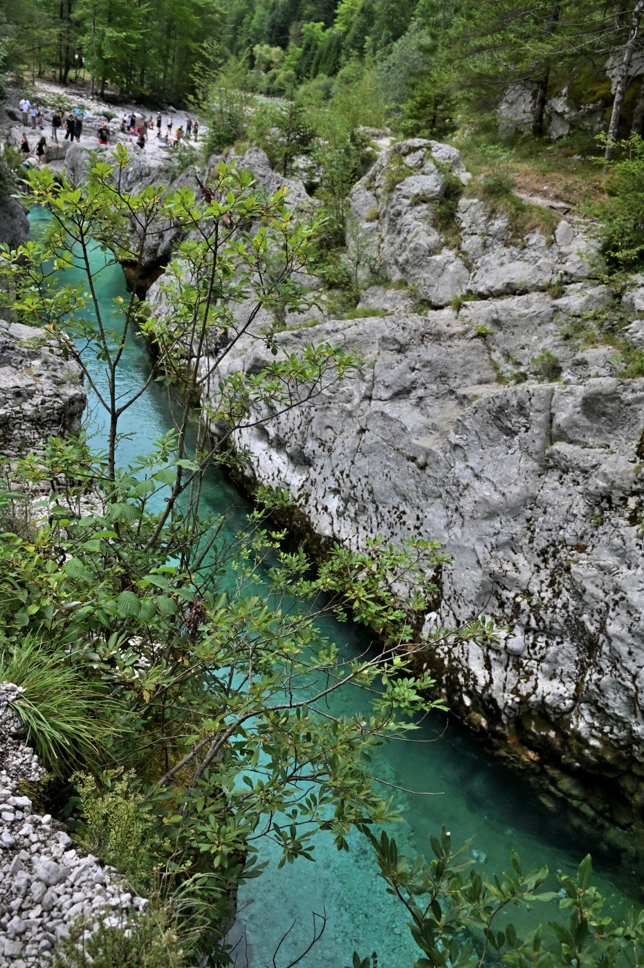 DSC_0386_00154.jpg