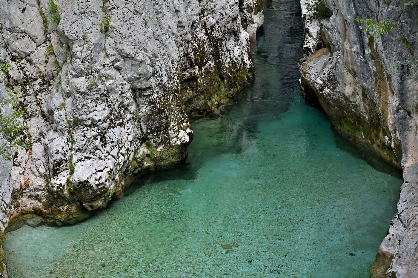 DSC_0389_00157.jpg