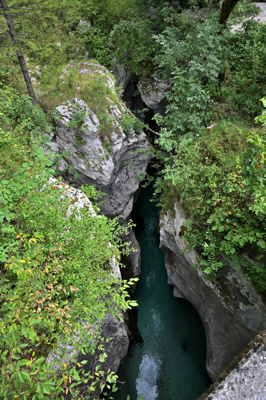 DSC_0390_00158.jpg