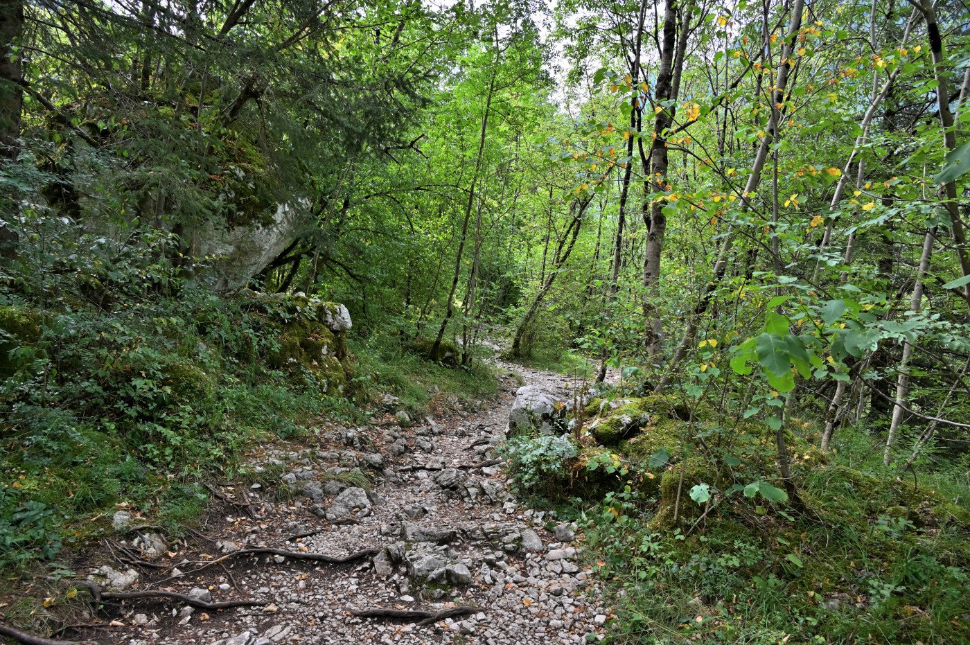 DSC_0391_00159.jpg