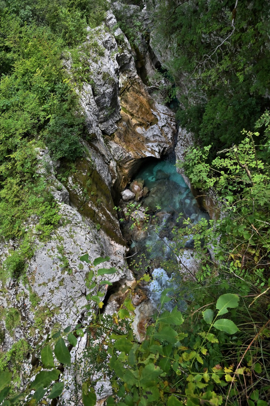 DSC_0392_00160.jpg