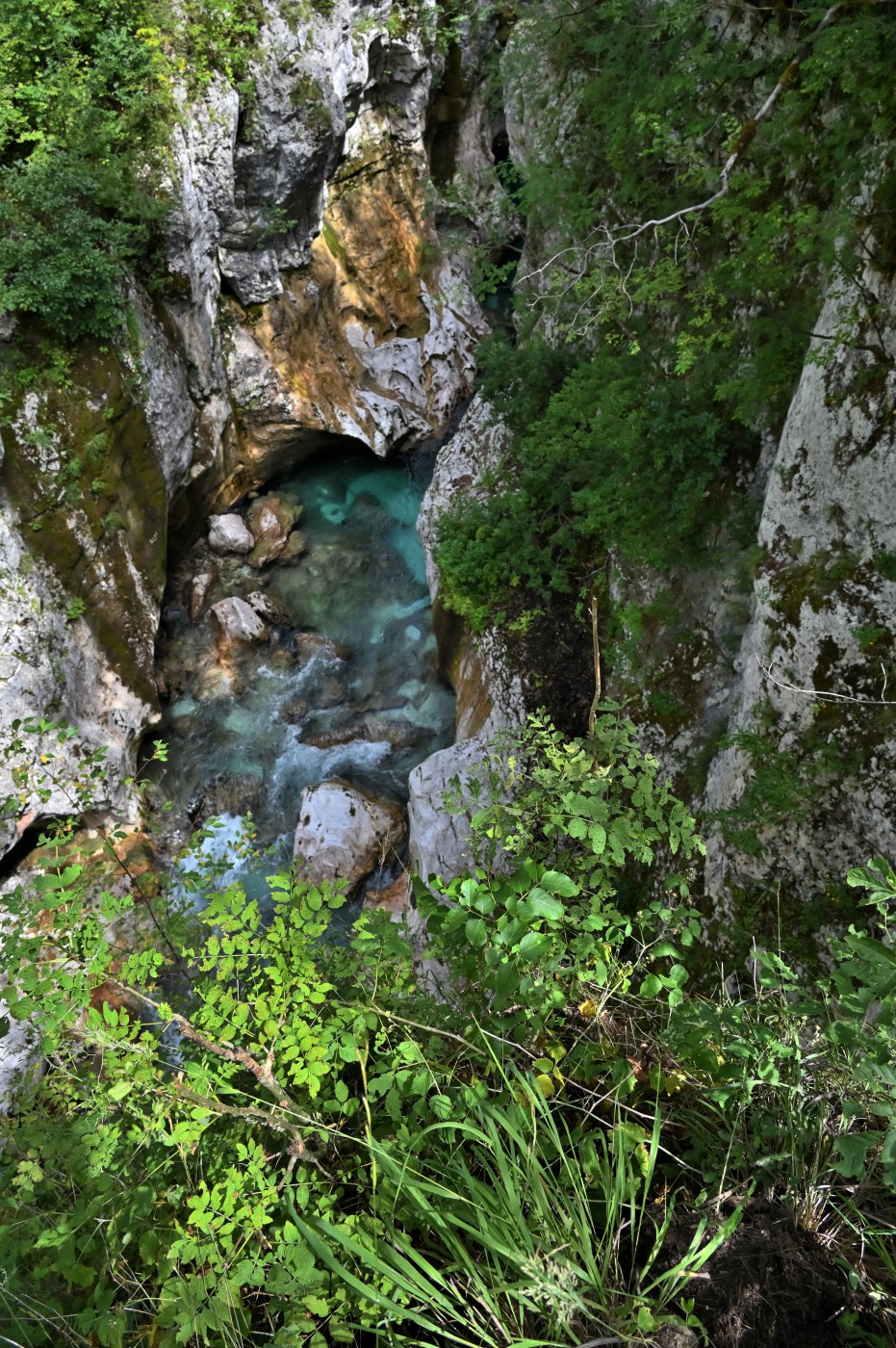 DSC_0393_00161.jpg