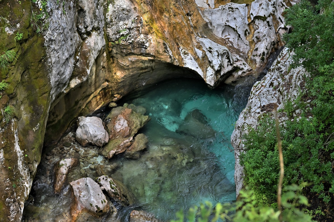 DSC_0395_00163.jpg
