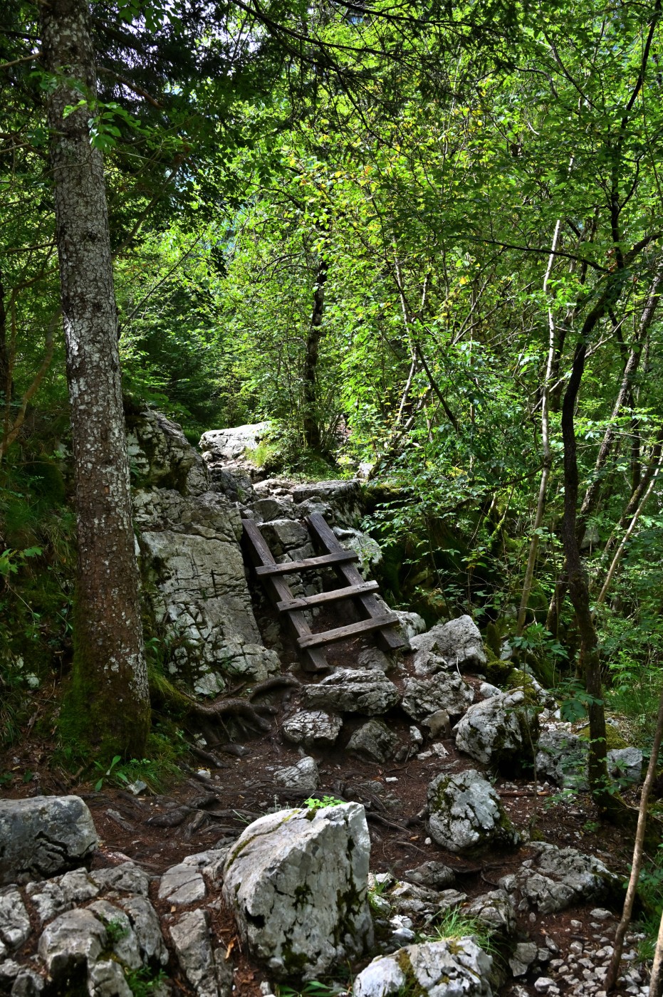 DSC_0399_00167.jpg