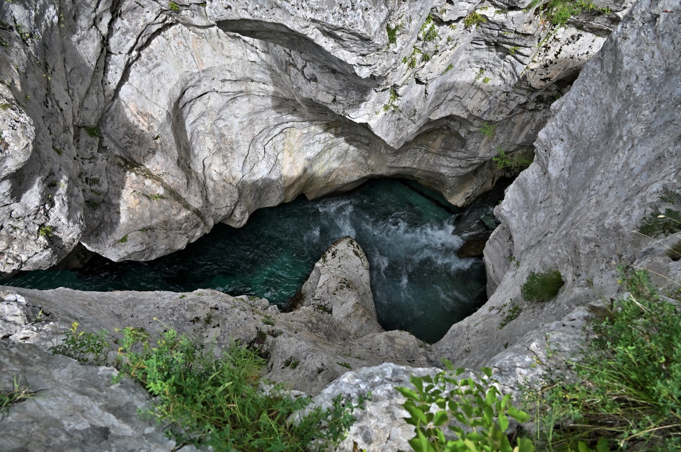 DSC_0401_00169.jpg
