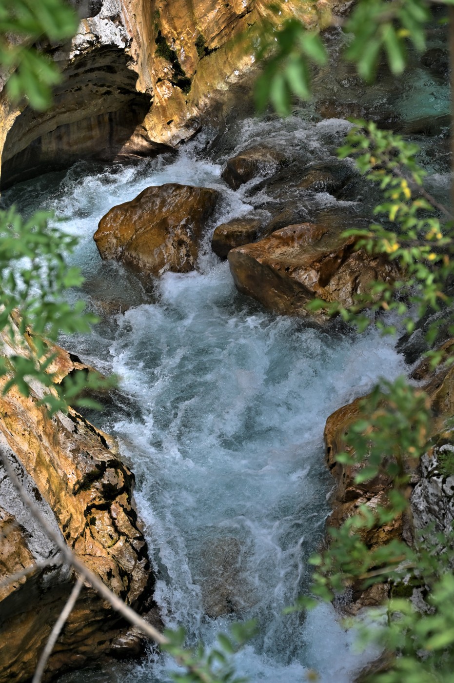 DSC_0406_00174.jpg
