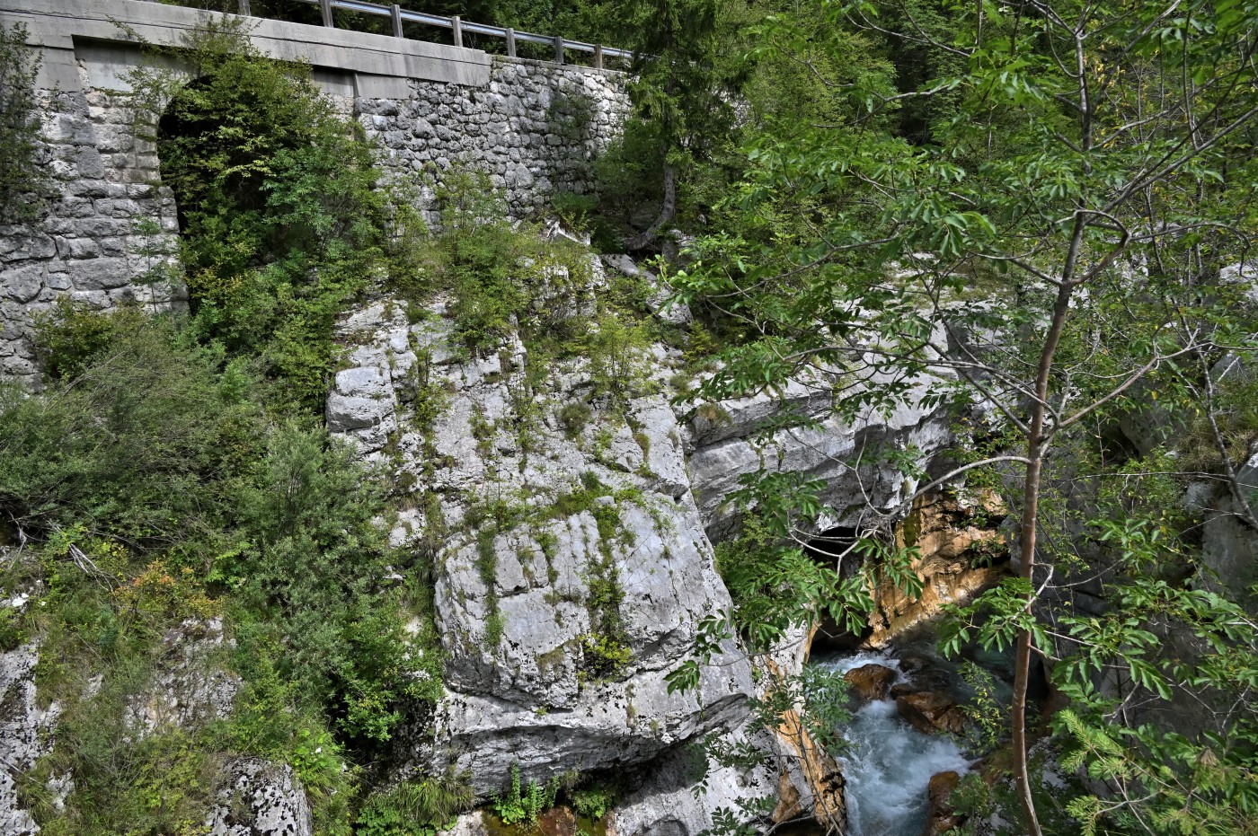 DSC_0407_00175.jpg