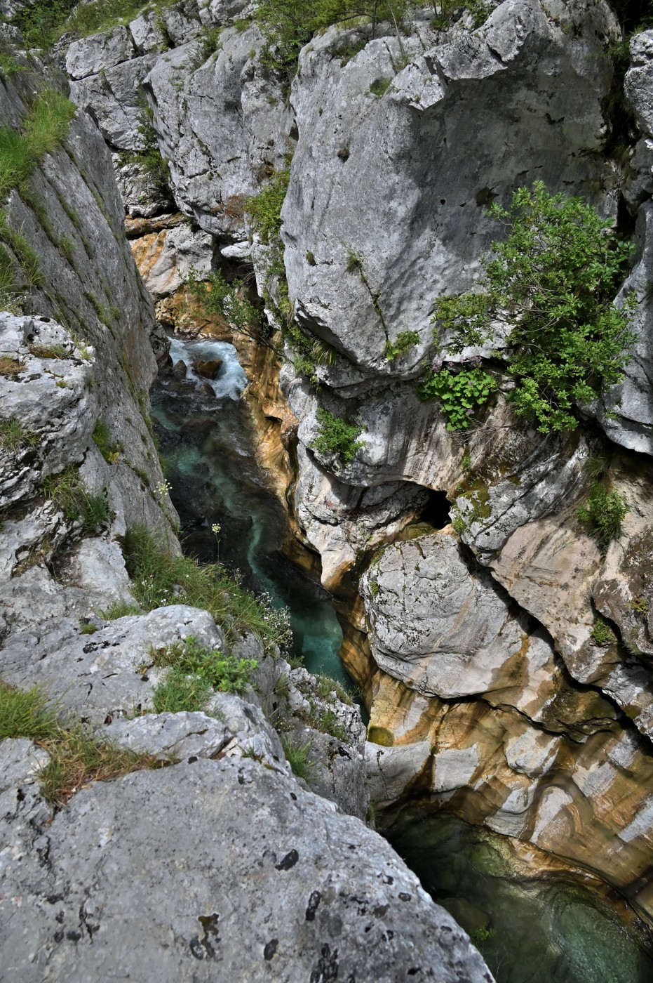 DSC_0409_00177.jpg