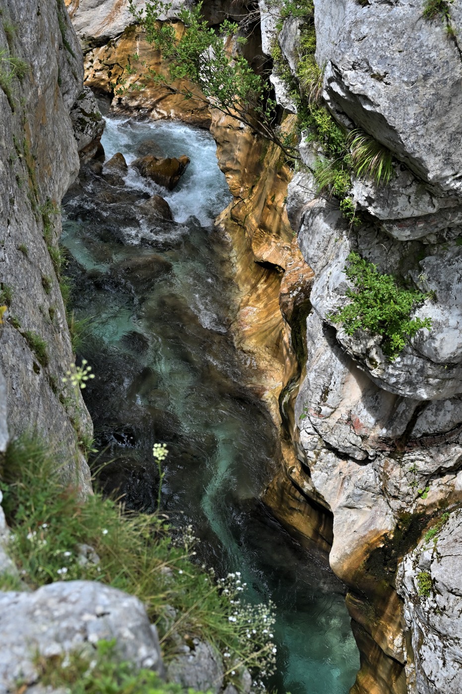 DSC_0410_00178.jpg