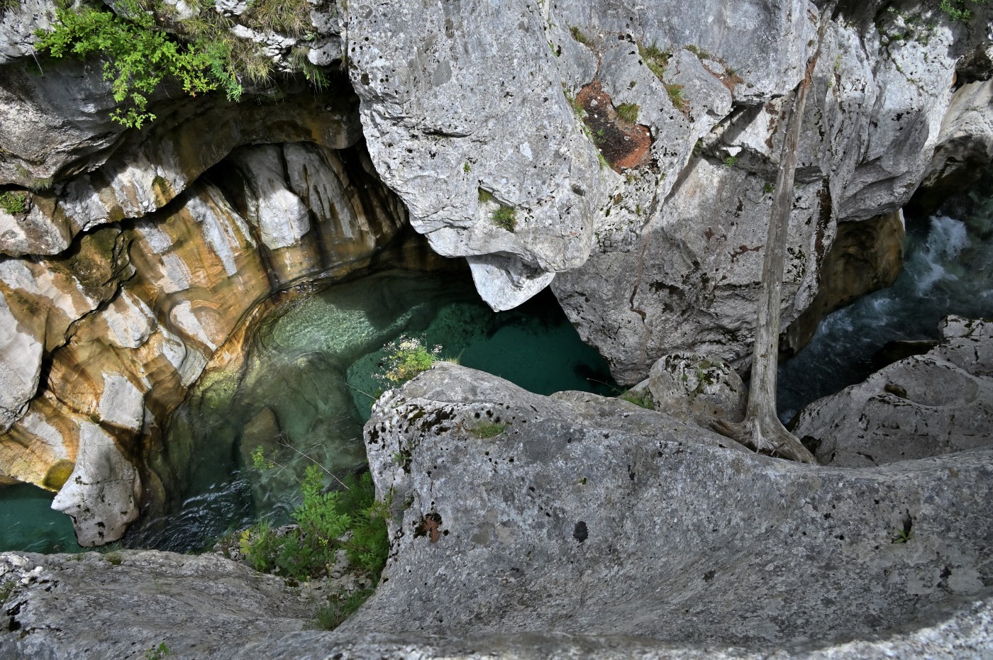 DSC_0412_00180.jpg