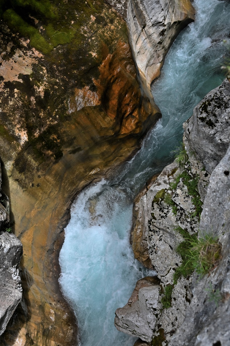 DSC_0417_00185.jpg